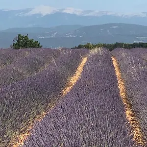 Appartement Provence Luberon Location Chez Marcelle, Bonnieux